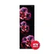 Rangs RTR-261D0A1WX Ember Red Flower 261 Ltr Refrigerator