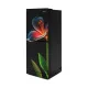 Rangs RTR-205D0A1WX Velvet Lily 205 Ltr Refrigerator