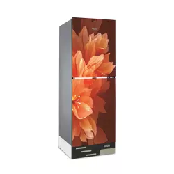 VISION VIS-240L Lily Orange 240 Liter Top Mount Glass Door Refrigerator